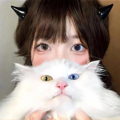 宫本武藏 决斗岩流岛