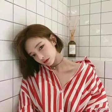 银狐